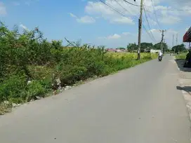 Tanah strategis 5000m wanajaya cibitung kab bekasi
