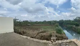 2.5 Juta per Meter, Luas Tanah 3000 m2, Tanah di Pasar Kemis, Tangeran