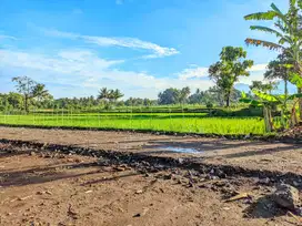 Tanah 2 Jutaan 400 Meter Jalan Raya Pandowoharjo