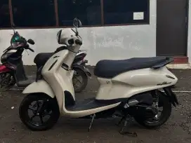 Grand filano 2024