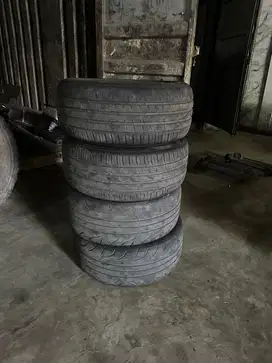 Ban Accelera 651  dan falken ziex
