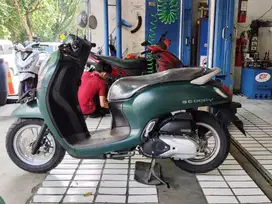 Honda Scoopy Prestige/Stylish 2024