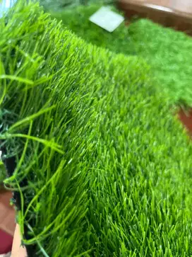 Jual Rumput Sintetis dan Drainase Terjangkau