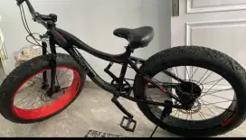Wim Cycle Fatman
