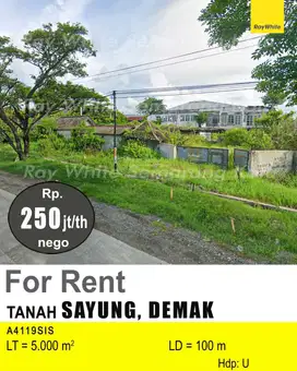 DISEWAKAN TANAH DI SAYUNG DEMAK A4119