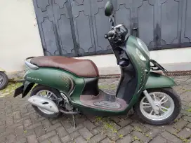 Honda Scoopy stylish (2024)