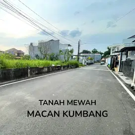 tanah mewah macan kumbang