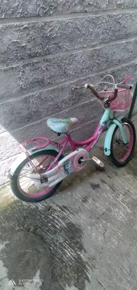 Sepeda anak Genio