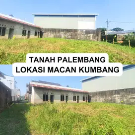 Tanah mewah macan kumbang