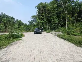 Tanah Untuk Kos Area Kampus SHM Lokasi Strategis Akses Mobil Papasan