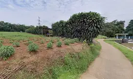 Tanah dijual di Tegal - Kemang Bogor