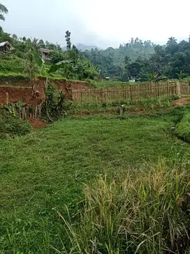 dijual sawah produktif di cicalengka dekat curug cinulang