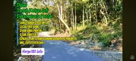 Murah Luas 5100m² Hrg 180 juta kebun jati, dekat Pantai, dekat Jjls