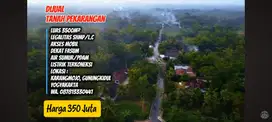Murah. Luas 3500m² H. 350 juta. Datar, Dekat Fasum Lokasi Karangmojo