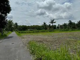 Jual Murah Tanah SHM P Belakang Kampus UII Jogja