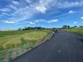 Tanah cocok untuk villa dekat canggu ocean villa