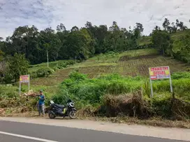 TANAH PINGGIR JALAN UTAMA JALAN LUMBOK SEMINUNG SUKAU LAMPUNG BARAT