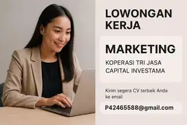 Lowongan Marketing