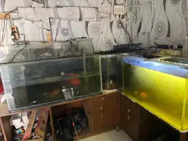 Aquarium 3 item