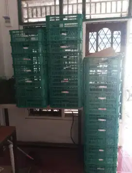 Jual Keranjang Besar Warna Hijau ada 20 Pcs.kondisi masih bagus.Nego