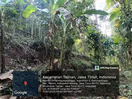 Tanah SHM Kebun Kopi Alpukat Dan POHON Jati Dijual di Tajinan Malang