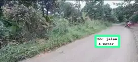 Jual tanah kebun murah lewibatu kec rumpin bgr