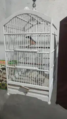 Pentet Jatim belangkon