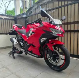 Kawasaki Ninja 250 F1 2018 Gress