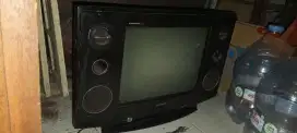 tv sharp alexander slim