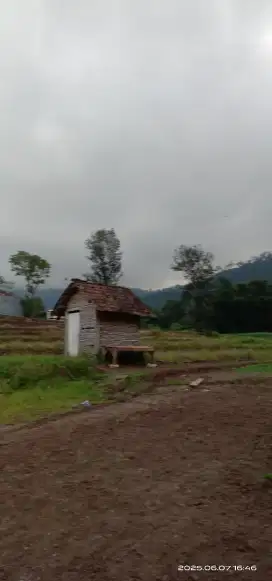 KAPLING SAWAH PARALAYANG KOTA BATU