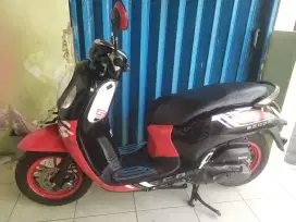 Honda scoopy 2023