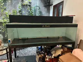 Dijual Aquarium Arwana 180x50cm