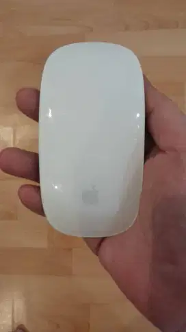 Magic Mouse 2 Original (Warna Hijau)