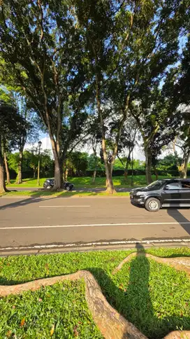 Kavling Posisi Bagus - Jalan Boulevard Palem Raya, Lippo Karawaci
