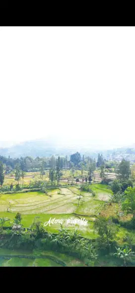 JUAL TANAH DEKAT KALI BERSIH