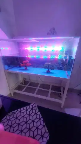Aquarium 130 x 60 x 60 free lampu, filter dan lainnya.
