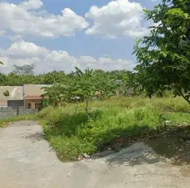 Dijual Tanah Murah 1.6juta/m2