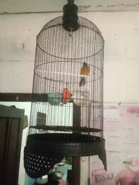 JUAL MURH 1 BURUNG&KNDNG BESI,MSH BGS,GAK ADA MINUS,GACOR,LNGSNG NYAUT