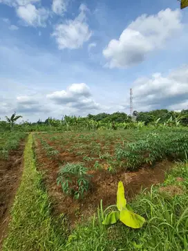 Kavling siap bangun dekat Rancamaya Golf Estate Bogor - Jawa Barat