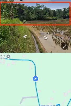 Tanah + Tambak luas 8160 Meter