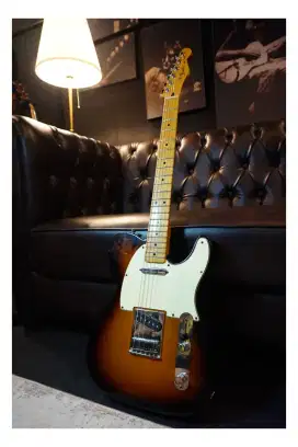 Fender Telecaster Mexico Standard 2014