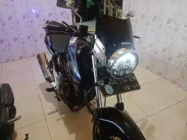 Tiger revo 2008