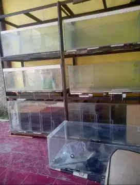 borong rak dan aquarium