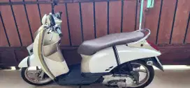 Honda scoopy karbu 2011