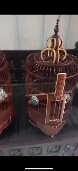 Kandang burung cungkok