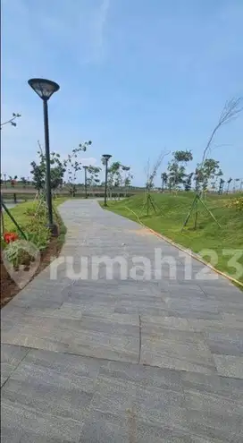 Kavling Para Sultan Pik2 Cluster Palm Spring