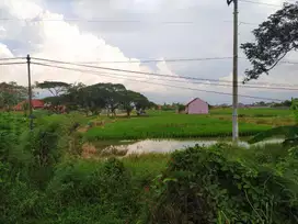 Dijual Tanah SHM Strategis Pinggir Jalan Pantura Cirebon