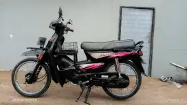 Astrea impressa 1998