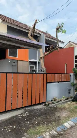 Segera Disewakan