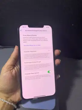 IPHONE 12 PRO MAX  INTERNAL 128GB